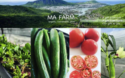 Magnificent Business: ‘MA Farms with Bruce Campbell, Providing Organic Local Veggies in Hawaii Kai