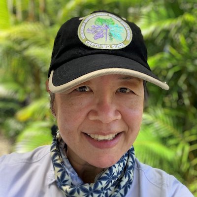 Magnificent Business: Phyllis Look, owner and founder of Forest Bathing Hawaiʻi