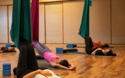 AIReal Restorative Yoga Flow.  In-person with Robin Shepard