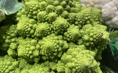 Healthy Life Tip: Try adding a little fun to your diet with the beautiful Romanesco cauliflower!