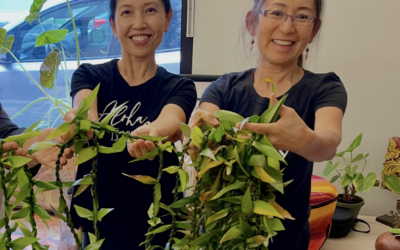 Celebrating Magnificence in our ‘Ohana: Izumi Ponimō’ī and Yvonne Waioha