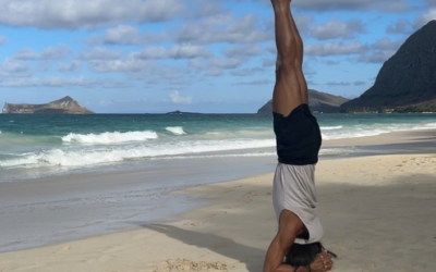Vinyasa Inspired Yoga with Thuan Nguyen (6-week limited class). In-Person & Live Online